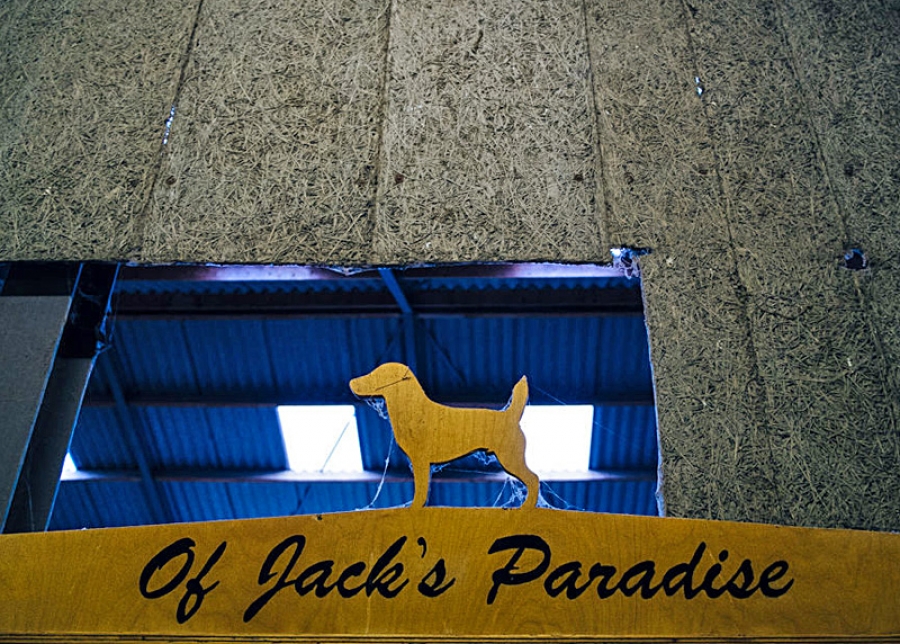 Wizyta w hodowli Jack&#039;s Paradise